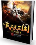 武破三国苏辰