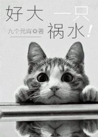 好大一只宁微博