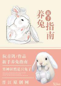 新手养兔指南阮青鸽最新章节更新时间