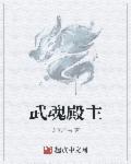 武魂殿主城图片