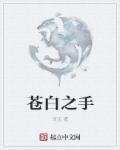 苍白之手的计划