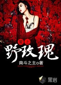 爱上野玫瑰全文阅读