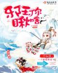 邪王你瞅啥全集