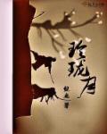 玲珑月笔趣阁