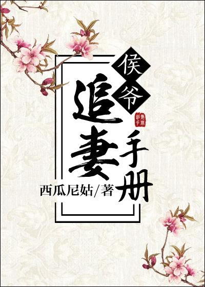 侯爷追妻手册无删减