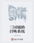三国辅助召唤系统免费阅读