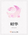 昭华公主扮演者