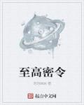 至高密令原著起点