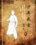 少年武宗全集哪里看