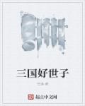 三国世子之争指的是哪几个
