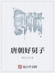 唐朝好舅子全文阅读