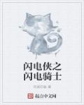 闪电侠之闪电骑士店