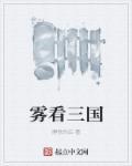 看电视剧三国