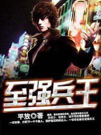 都市至尊兵王陈风