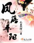 凤落平阳TXT百度提取码