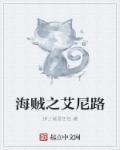 海贼艾尼路去哪了