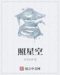 照星空手机参数怎么调