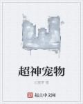 超神宠物升级系统