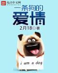 一条狗的爱情故事脱口秀看完后有啥用