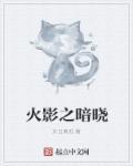 火影之暗晓TXT全本