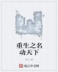名动天下完结没