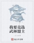 怎么当上武林盟主