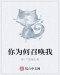 你为何召唤我顶点