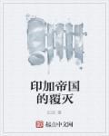 印加帝国的毁灭