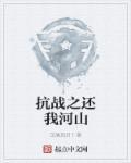 抗战之还我河山刘浪写的怎么样