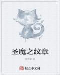 圣魔纹章主角怎么转职业
