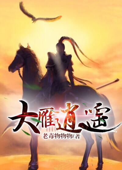 播放大雁