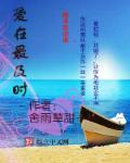 军长的隐婚娇妻