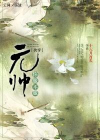 元帅gl笔趣阁