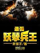 最强妖孽兵王 楚枫