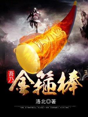 吾乃金箍棒免费阅读八毛