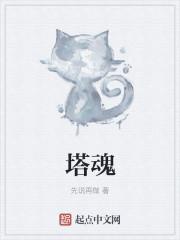 塔魂是什么