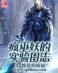 疯巫妖的实验日志听书