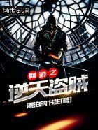 网游之逆天盗贼百度
