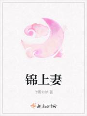 锦上妻晋江