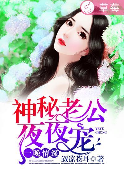 一夜蜜宠神秘老公宠入怀免费阅读