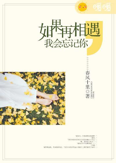 如果在相遇我想我会记得你歌曲