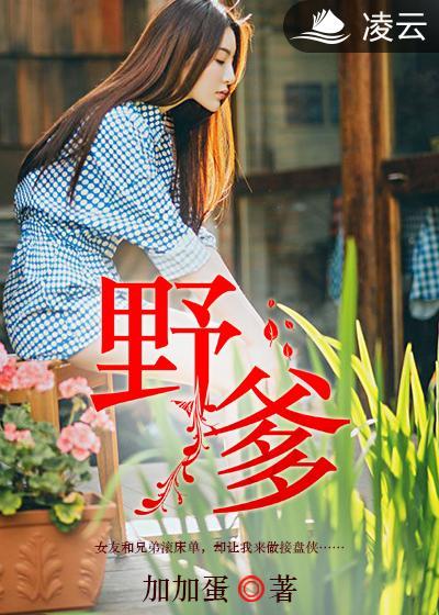 野爹的意思
