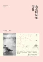 我在回忆里等你万劫不复免费观看