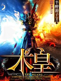 术皇眼觉属于什么档次