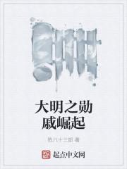 大明之开局戚家军