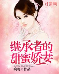 继承者的甜蜜娇妻2016