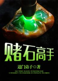 赌石高手李健全文免费