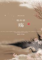 曾许诺·殇 笔趣阁