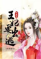 王妃出逃1000次计划合集