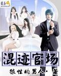 混迹官场txt